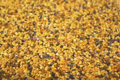 BEE POLLEN (China)