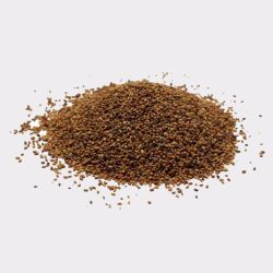 Alfalfa Seeds