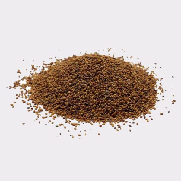 Alfalfa Seeds