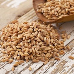 Barley Hulled