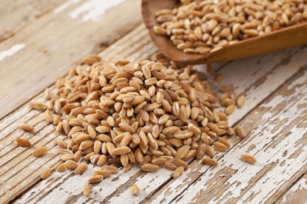 Barley Hulled