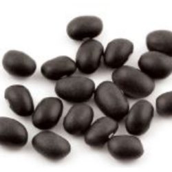Black Turtle Beans