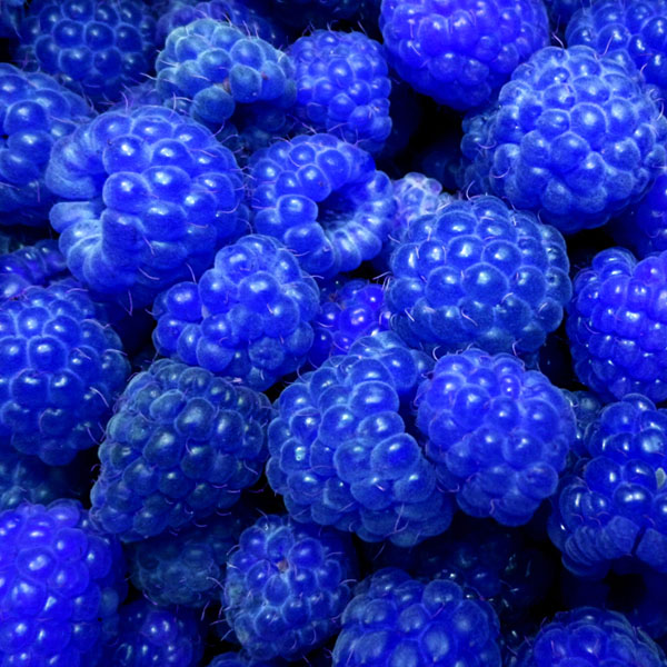 Raspberry