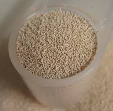Bread Machine Yeast