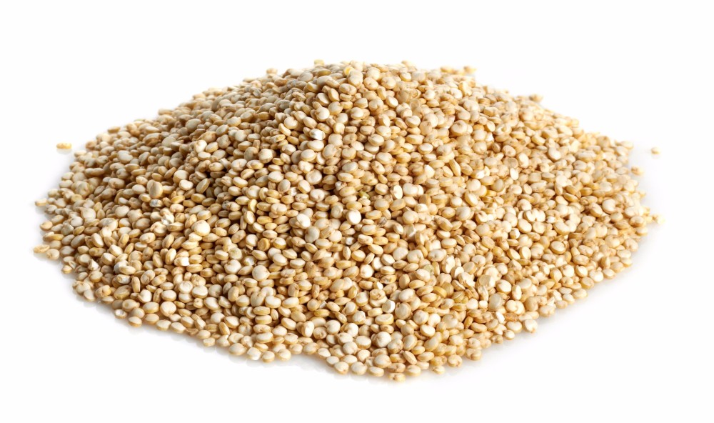 Chia Seed White