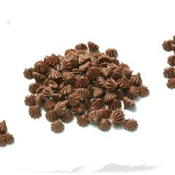 CHOCO BUDS