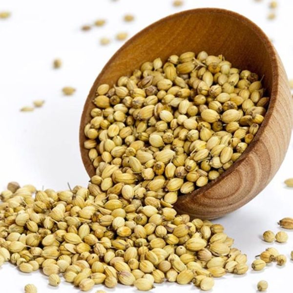 Coriander - Whole