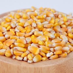 Corn Kernels - White