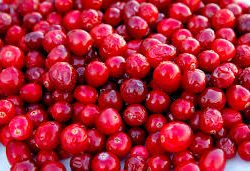 Cranberry
