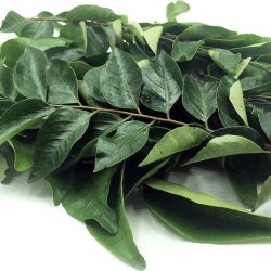 Curry Leaf