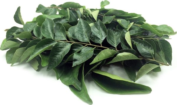 Curry Leaf