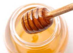 Davinci Sweetener Honey