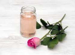 Donne Rosewater Art