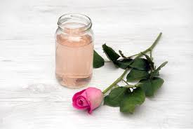 Donne Rosewater Art
