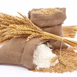 Durum Whole Wheat Flour Stone Ground