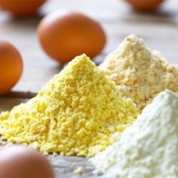 Egg Powder Whole