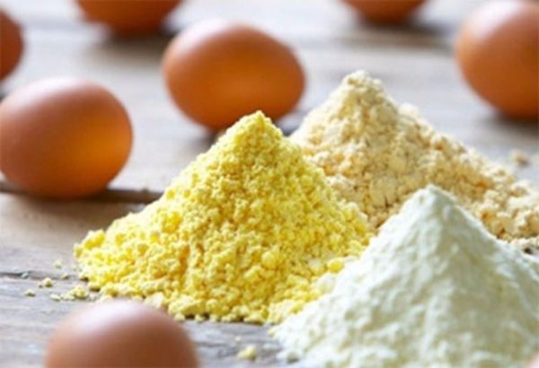 Egg Powder Whole