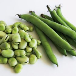 Fava Beans