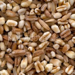 Five Grain Cereal