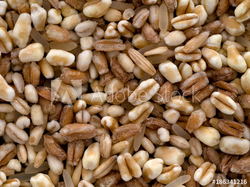 Five Grain Cereal