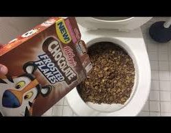 Frosted Flakes Chocolate