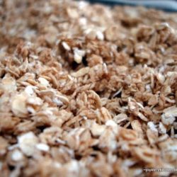 Granola Nut & Raisin
