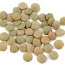 Green Lentils