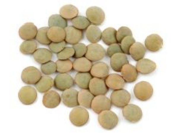 Green Lentils