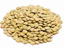 Green Lentil Laird