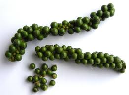 Green Peppercorns