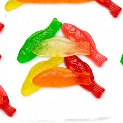 GUMMY FISH