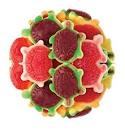 GUMMY ASSORTED TURTLES