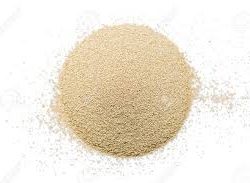 FLEISCHMANN - BAKERS YEAST 20x454 GR.