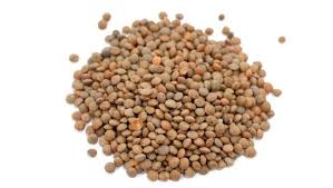 Lentils
