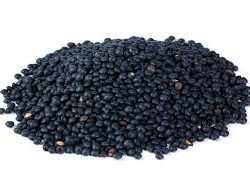 Lentils Black Beluga Organic