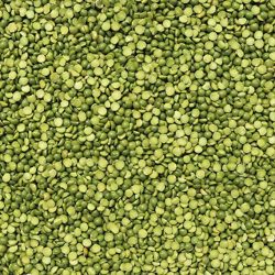 Lentils Green Laird #1