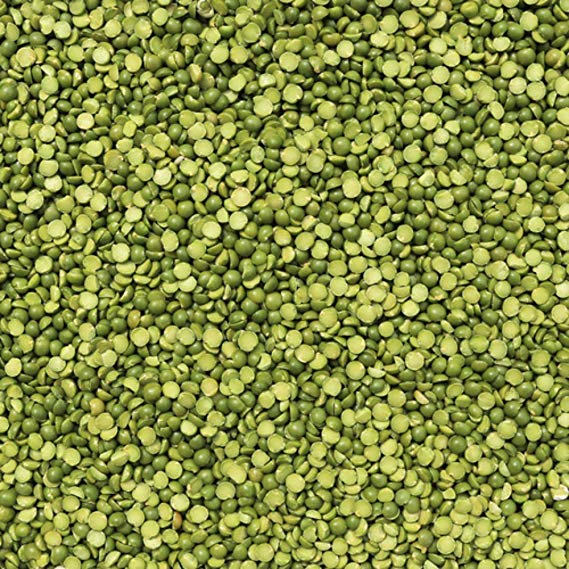 Lentils Green Laird #1