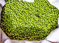 Lentils Green Small