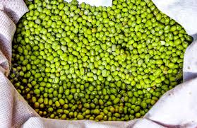 Lentils Green Small