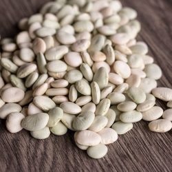 Lima Beans Jumbo Peruvian