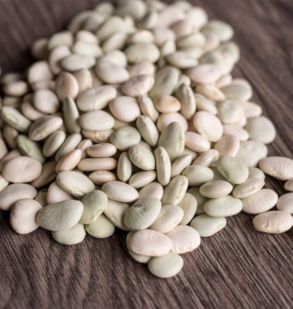 Lima Beans Jumbo Peruvian
