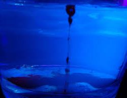 Liquid Gel Food Colour Blue