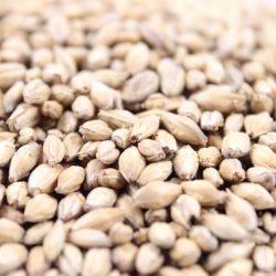 Malt Brewers 2 Row