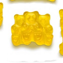 MIGHTY MANGO BEARS