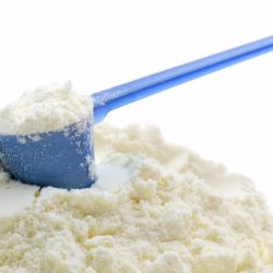 Skim Milk Powder Non Instant
