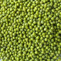 Mung Beans