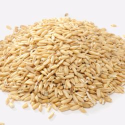 Oat Groats Hulled