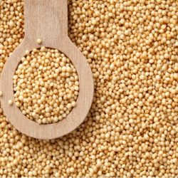 Organic Amaranth Seeds