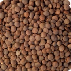 Organic Brown Lentils