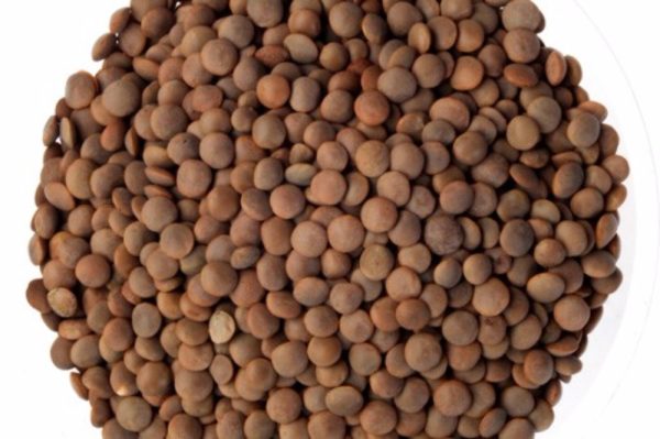 Organic Brown Lentils